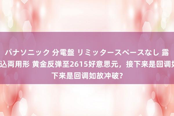 パナソニック 分電盤 リミッタースペースなし 露出・半埋込両用形 黄金反弹至2615好意思元，接下来是回调如故冲破？