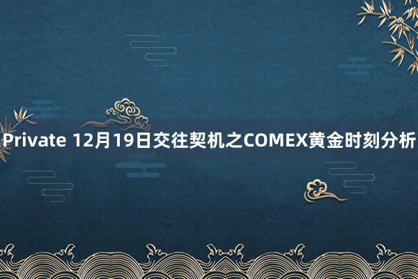 Private 12月19日交往契机之COMEX黄金时刻分析