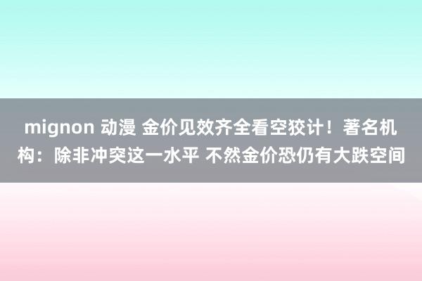 mignon 动漫 金价见效齐全看空狡计！著名机构：除非冲突这一水平 不然金价恐仍有大跌空间