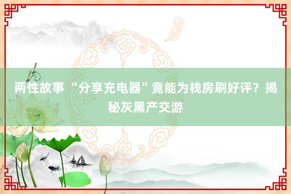 两性故事 “分享充电器”竟能为栈房刷好评？揭秘灰黑产交游