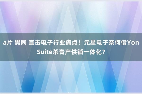 a片 男同 直击电子行业痛点！元星电子奈何借YonSuite杀青产供销一体化？