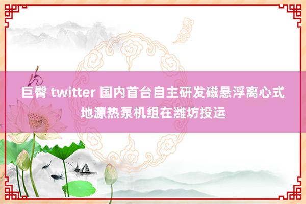 巨臀 twitter 国内首台自主研发磁悬浮离心式地源热泵机组在潍坊投运