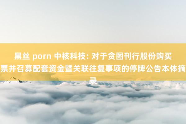 黑丝 porn 中核科技: 对于贪图刊行股份购买钞票并召募配套资金暨关联往复事项的停牌公告本体摘录