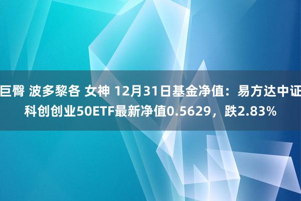 巨臀 波多黎各 女神 12月31日基金净值：易方达中证科创创业50ETF最新净值0.5629，跌2.83%