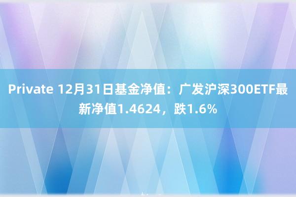 Private 12月31日基金净值：广发沪深300ETF最新净值1.4624，跌1.6%