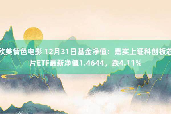 欧美情色电影 12月31日基金净值：嘉实上证科创板芯片ETF最新净值1.4644，跌4.11%