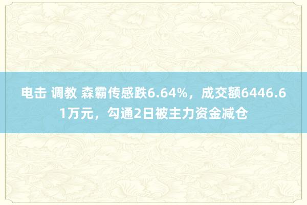 电击 调教 森霸传感跌6.64%，成交额6446.61万元，勾通2日被主力资金减仓