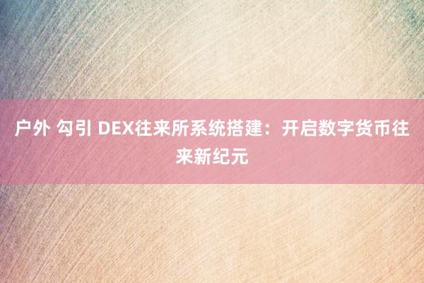 户外 勾引 DEX往来所系统搭建：开启数字货币往来新纪元