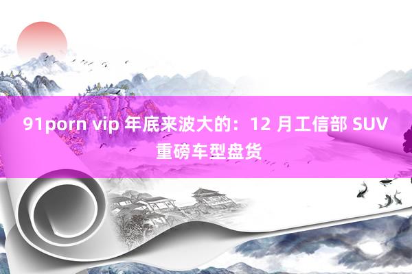 91porn vip 年底来波大的：12 月工信部 SUV 重磅车型盘货