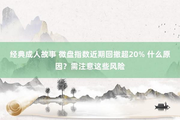 经典成人故事 微盘指数近期回撤超20% 什么原因？需注意这些风险