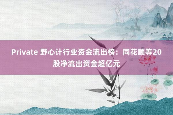 Private 野心计行业资金流出榜：同花顺等20股净流出资金超亿元