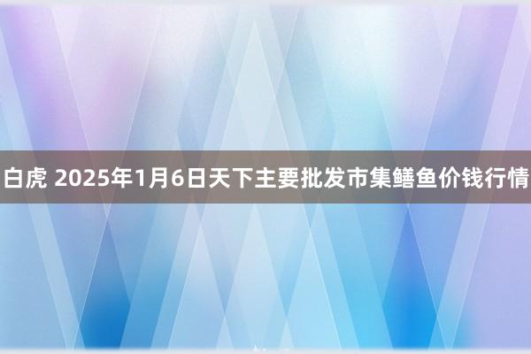 白虎 2025年1月6日天下主要批发市集鳝鱼价钱行情