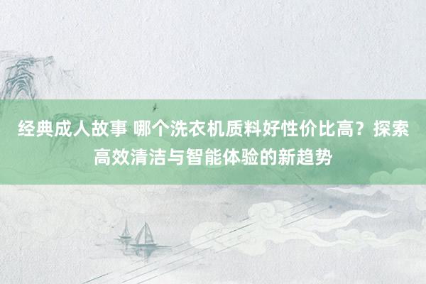 经典成人故事 哪个洗衣机质料好性价比高？探索高效清洁与智能体验的新趋势