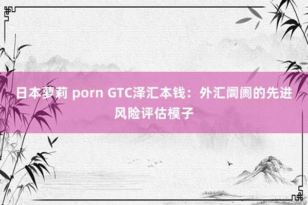 日本萝莉 porn GTC泽汇本钱：外汇阛阓的先进风险评估模子