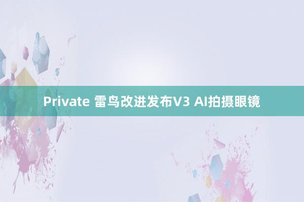 Private 雷鸟改进发布V3 AI拍摄眼镜