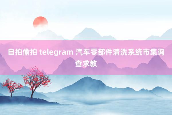 自拍偷拍 telegram 汽车零部件清洗系统市集询查求教