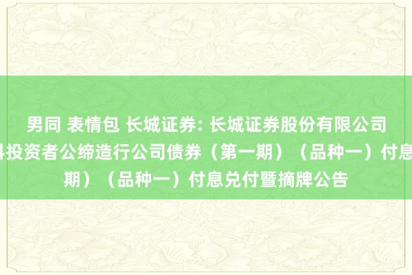 男同 表情包 长城证券: 长城证券股份有限公司2022年面向专科投资者公缔造行公司债券（第一期）（品种一）付息兑付暨摘牌公告