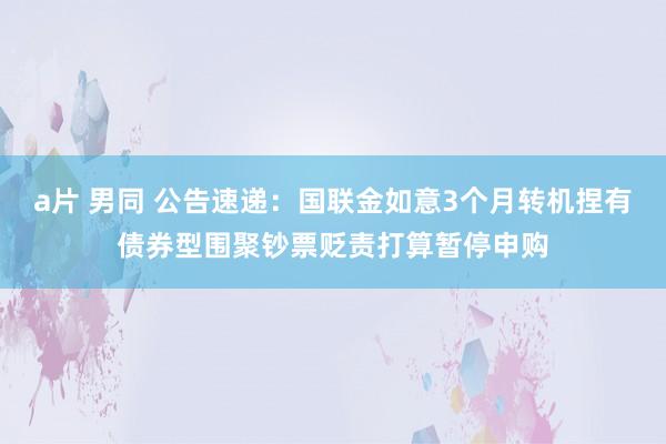 a片 男同 公告速递：国联金如意3个月转机捏有债券型围聚钞票贬责打算暂停申购