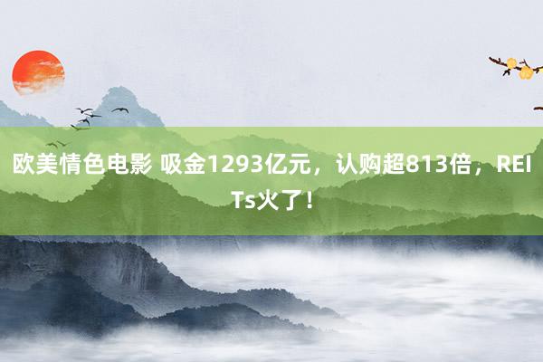 欧美情色电影 吸金1293亿元，认购超813倍，REITs火了！