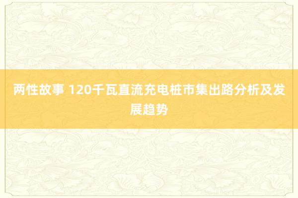 两性故事 120千瓦直流充电桩市集出路分析及发展趋势