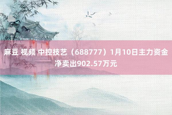 麻豆 视频 中控技艺（688777）1月10日主力资金净卖出902.57万元