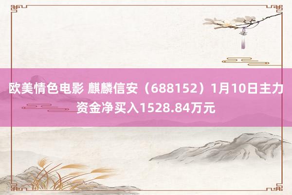 欧美情色电影 麒麟信安（688152）1月10日主力资金净买入1528.84万元