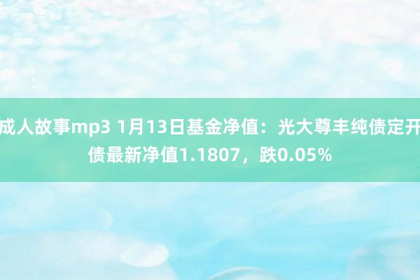 成人故事mp3 1月13日基金净值：光大尊丰纯债定开债最新净值1.1807，跌0.05%