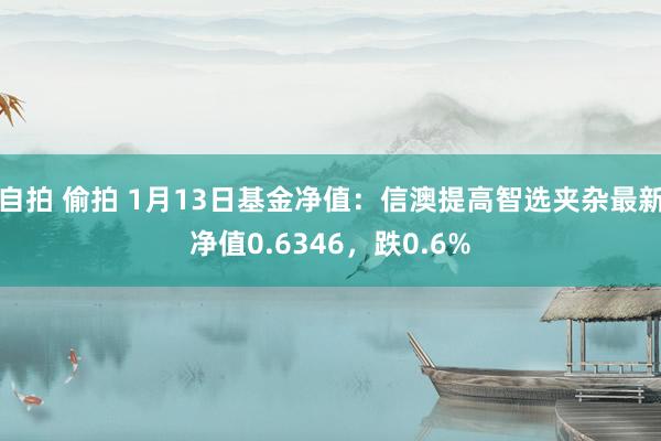 自拍 偷拍 1月13日基金净值：信澳提高智选夹杂最新净值0.6346，跌0.6%