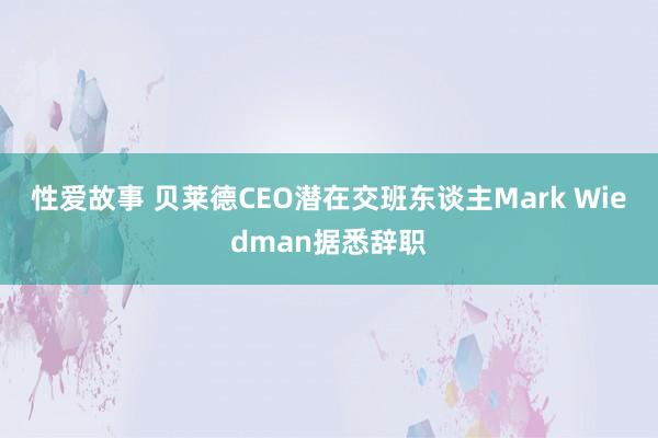 性爱故事 贝莱德CEO潜在交班东谈主Mark Wiedman据悉辞职