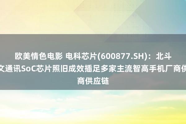 欧美情色电影 电科芯片(600877.SH)：北斗短报文通讯SoC芯片照旧成效插足多家主流智高手机厂商供应链