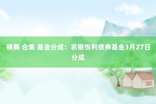 裸舞 合集 基金分成：农银悦利债券基金3月27日分成