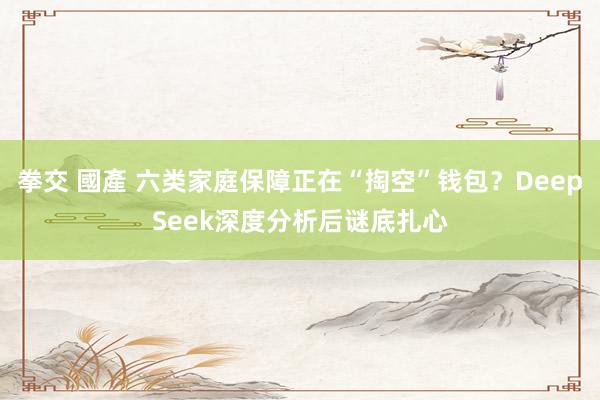 拳交 國產 六类家庭保障正在“掏空”钱包？DeepSeek深度分析后谜底扎心