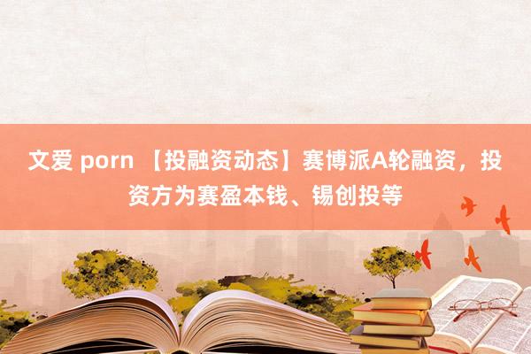 文爱 porn 【投融资动态】赛博派A轮融资，投资方为赛盈本钱、锡创投等