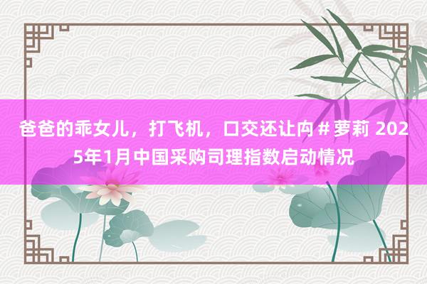 爸爸的乖女儿，打飞机，口交还让禸＃萝莉 2025年1月中国采购司理指数启动情况