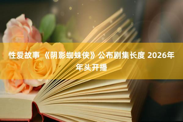 性爱故事 《阴影蜘蛛侠》公布剧集长度 2026年年头开播