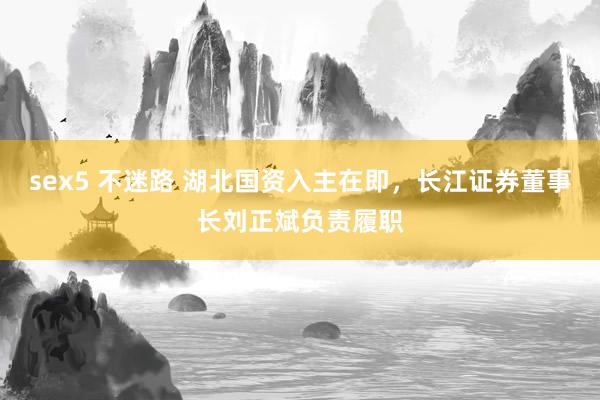 sex5 不迷路 湖北国资入主在即，长江证券董事长刘正斌负责履职