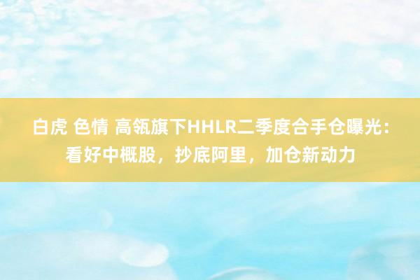 白虎 色情 高瓴旗下HHLR二季度合手仓曝光：看好中概股，抄底阿里，加仓新动力